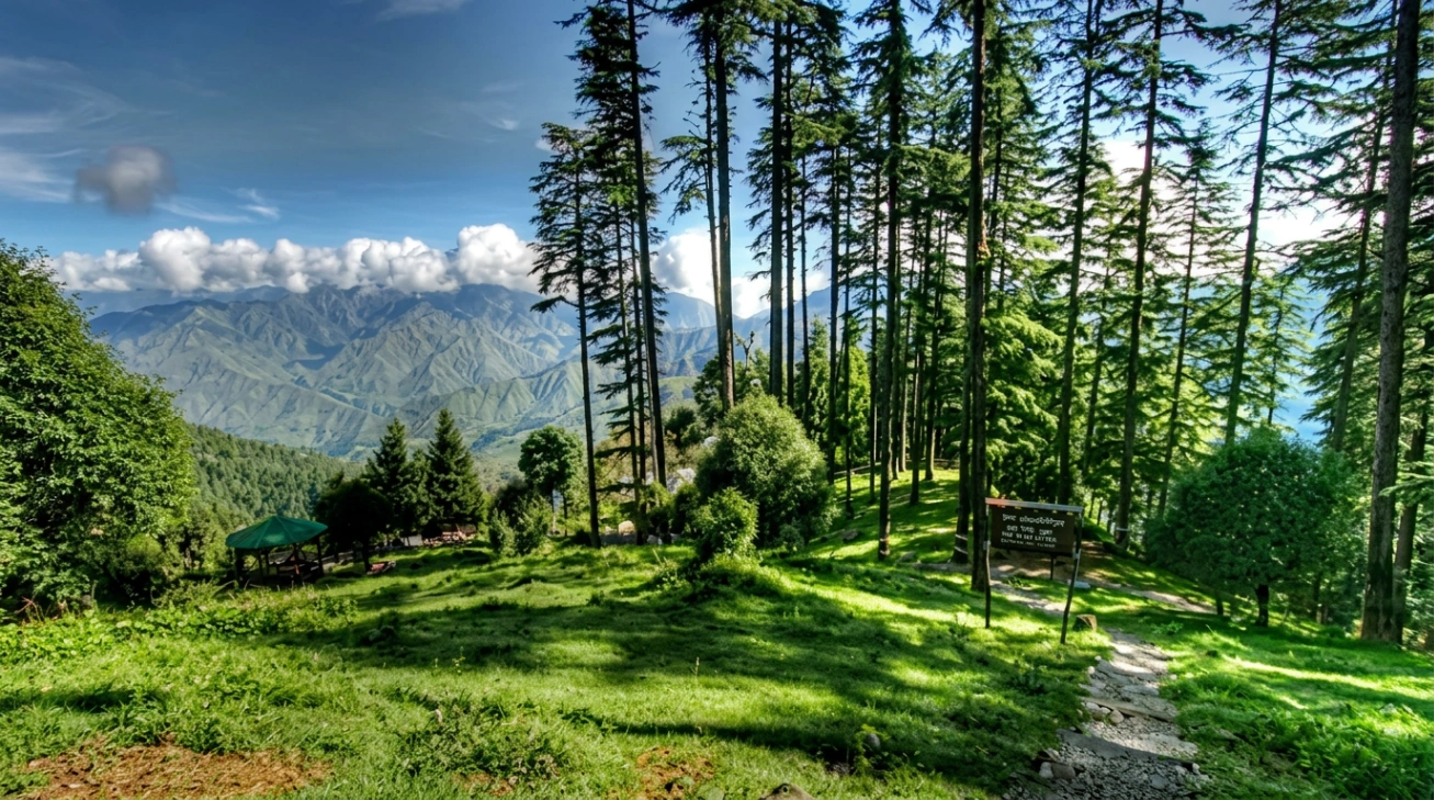 Dhanaulti