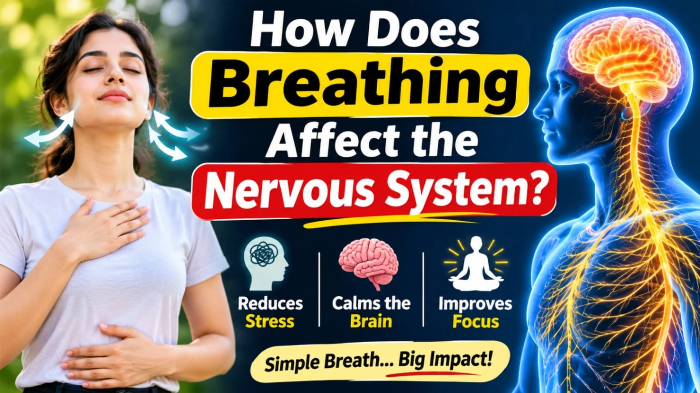How Does Breathing Affect the Nervous System?