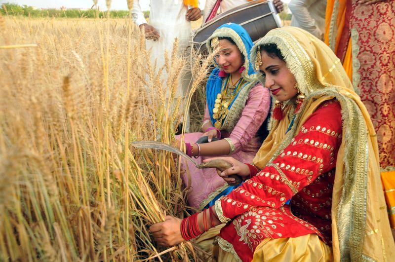 Baisakhi: Celebrating the harvest season and birth of Khalsa - The Tribune
