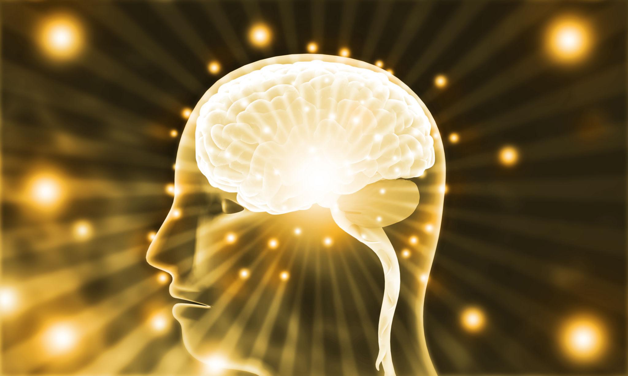 Active human brain on digial background