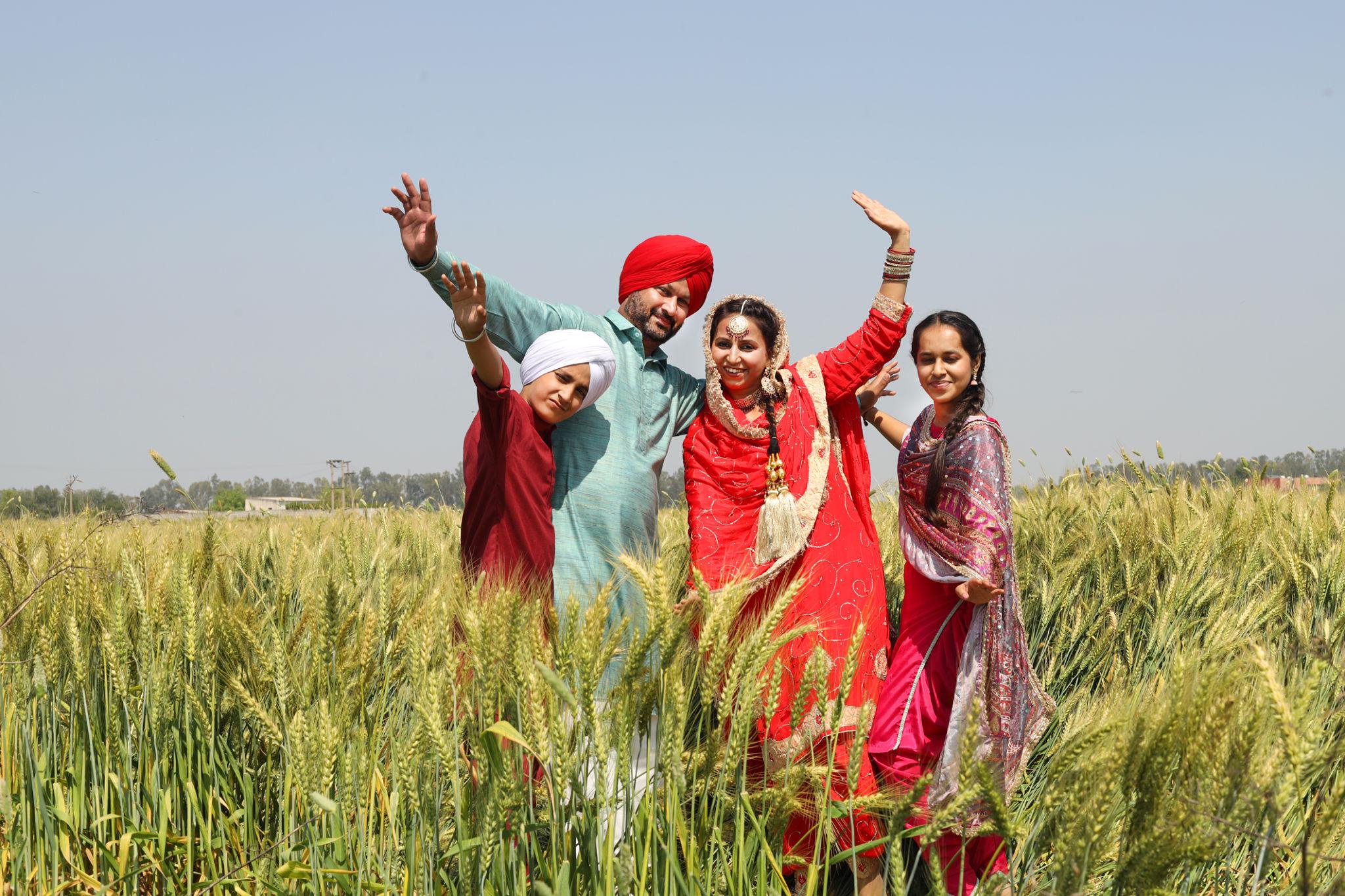 Punjabi sikh family celebrating Baisakhi or vaisakhi festival in agriculture field and doing bhangra dance. Culture of india. People of punjab.