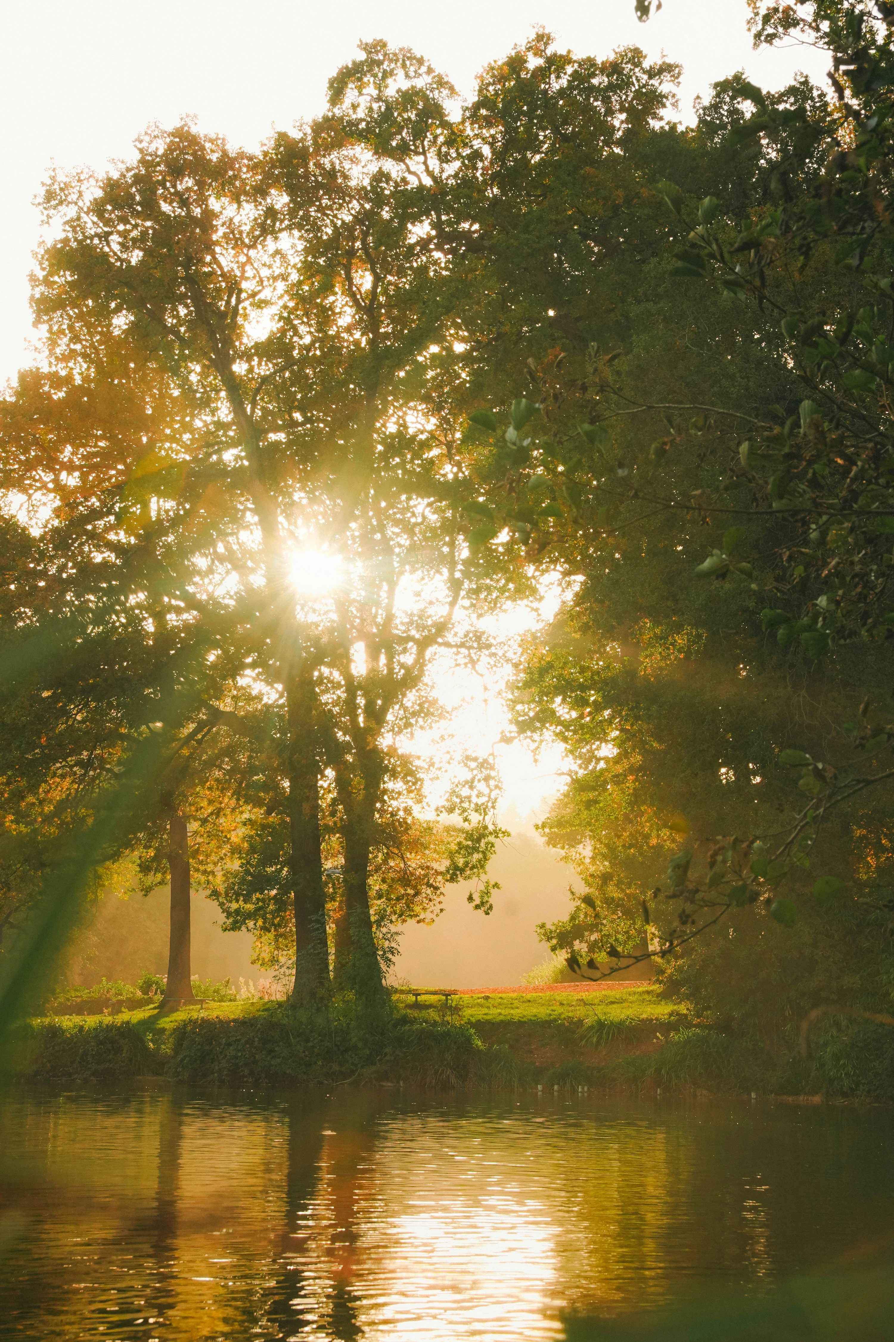 https://images.unsplash.com/photo-1761389495508-bc938dcf7c25?fm=jpg&ixid=M3wxMjA3fDB8MHxwaG90by1yZWxhdGVkfDE3fHx8ZW58MHx8fHx8&ixlib=rb-4.1.0&q=60&w=3000