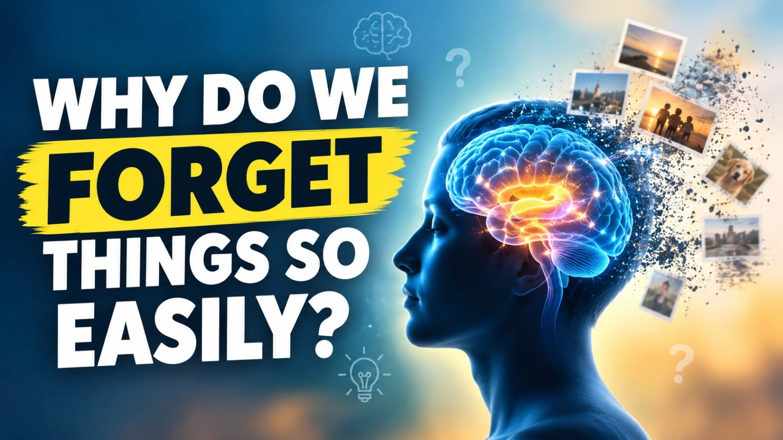 Why Do We Forget Things So Easily? Understanding the Science of Memory