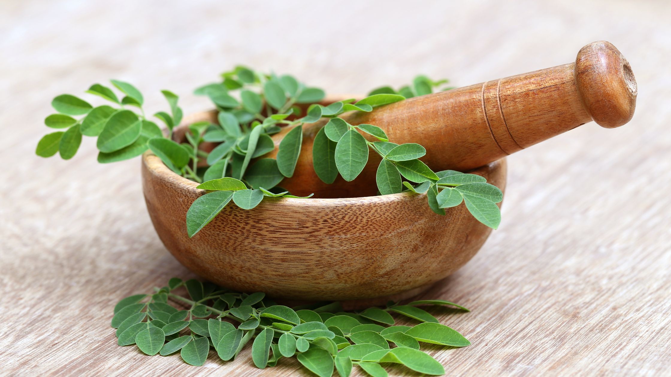 How Long Does It Take for Moringa to Start Working? - How Long Does It Take For Moringa To Work